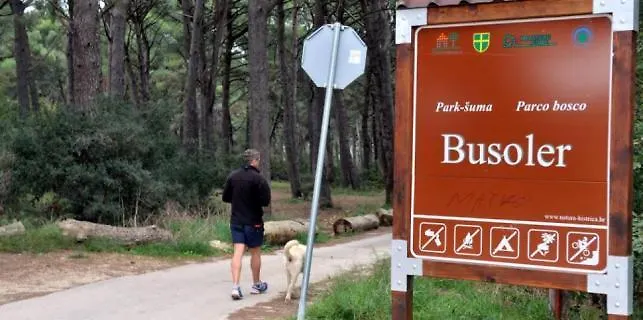 Modern Milotic Apartman